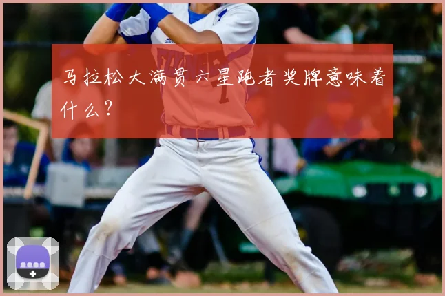 马拉松大满贯六星跑者奖牌意味着什么?